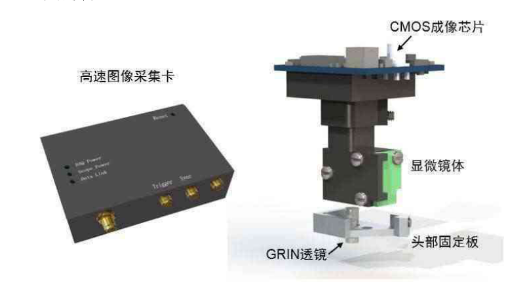 大型仪器 自动对焦超微型显微成像系统